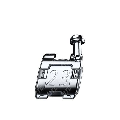 ISO e CE certificati DTC Self Ligating Bracket MBT Roth Dental Braces Made in Hangzhou
