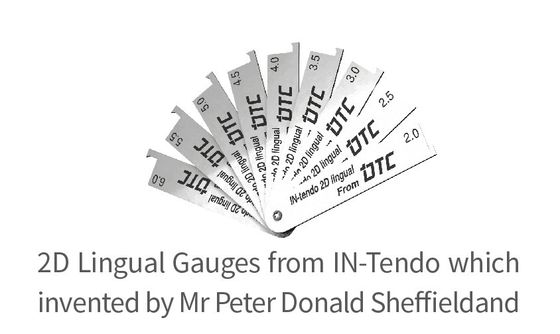 CE Standard Metal Protect Ortodontic Bracket Lingual Braces
