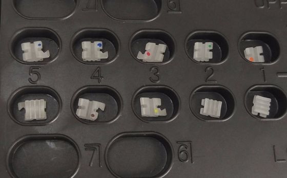 Clinica DTC Ortodonzia dentale Ortodonzia supporto in ceramica per la classificazione degli strumenti di classe I